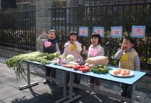 中班角色游戏的案例分析（上）-幼师课件网