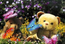 教师应掌握的专业技能中，哪一项最为重要？-幼师课件网