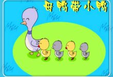 中班音乐活动《母鸭带小鸭》-幼师课件网