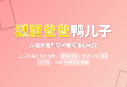 幼儿园大班社会活动教案：狐狸爸爸鸭儿子-幼师课件网