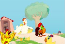 大班科学实验 | 捉狐狸-幼师课件网