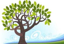 干货贴 | 如何开展主题活动？帮你四大步搞定-幼师课件网