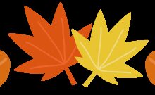 中班主题活动 | 《多彩的秋天》-幼师课件网