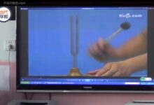 获奖公开课视频 | 大班科学领域科学活动《声音的秘密》-幼师课件网