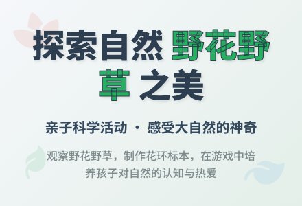 美丽的野草、野花（科学）-幼师课件网