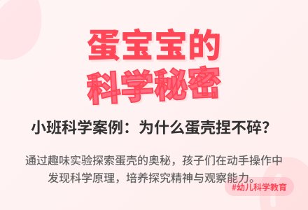 小班科学案例：蛋孩子-幼师课件网
