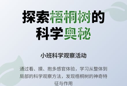 小班科学高高的梧桐树-幼师课件网