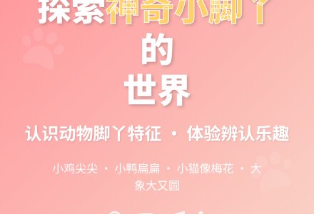 谁的小脚丫（科学）-幼师课件网