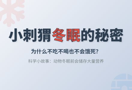 幼儿园小班科学小故事：小刺猬不见了-幼师课件网
