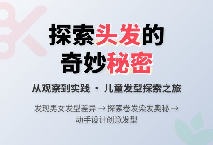 主题：头发的秘密-幼师课件网