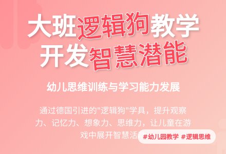幼儿园大班逻辑狗教学计划-幼师课件网