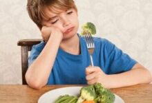 科普 | 偏食原来没有那么糟糕？而且居然有四种偏食类型！-幼师课件网