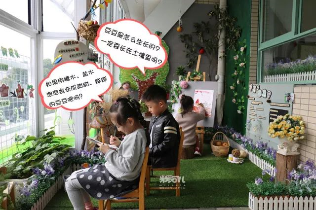 自然角指导 | 春天来了，你的自然角“配齐”了吗？-幼师课件网第14张图片