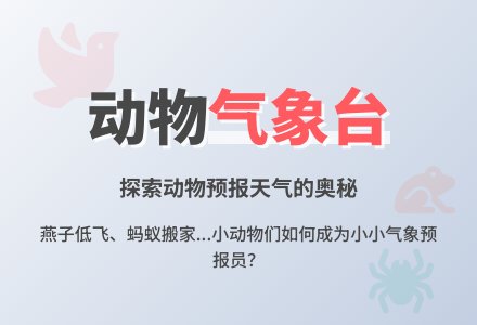 幼儿园中班说课稿：《动物气象台》-幼师课件网