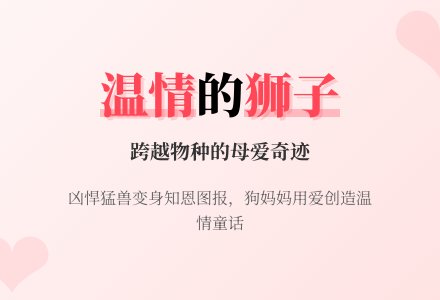 中班语言说课稿：温情的狮子-幼师课件网
