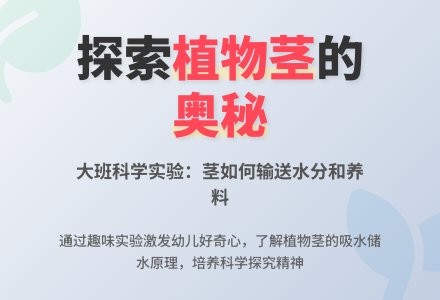 大班科学说课稿:茎输送水-幼师课件网