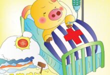 中班语言活动 |《谢谢你》-幼师课件网