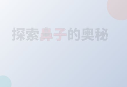 中班综合活动：《有趣的鼻子》-幼师课件网