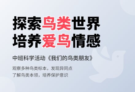 中班科学活动：《我们的鸟类朋友》-幼师课件网