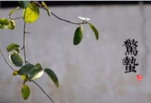 惊蛰 | 身体是革命的本钱，这些养生知识不容错过~-幼师课件网