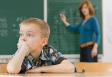 幼儿心理发展知识要点-幼师课件网