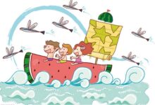 中班语言教案:快乐的夏天-幼师课件网
