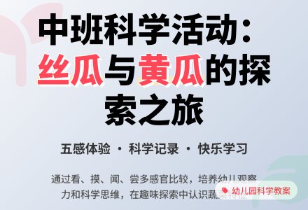 幼儿园中班教案《丝瓜和黄瓜》含反思-幼师课件网