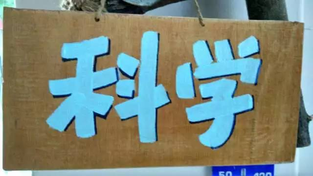 区域材料 | 大班科学区材料投放-幼师课件网第1张图片