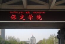 学前珍稀动物-男幼师阿强告诉你，他上大学时的“女儿国”生活-幼师课件网