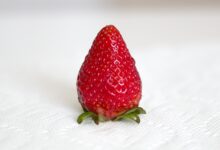 ［情人节］制作玫瑰还用纸？我的内心是拒绝的！-幼师课件网