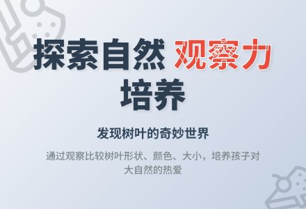 亲子活动：找相同的树叶-幼师课件网