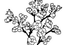 处暑节气 | 秋季润燥很重要，节气保健不能少-幼师课件网