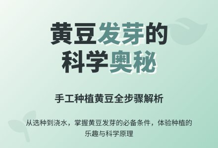 幼儿园托班科学活动：种植黄豆发芽了-幼师课件网