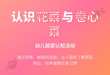 幼儿园中班社会活动：花菜和卷心菜-幼师课件网