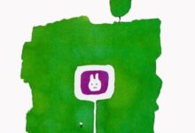 优秀教案｜大班语言领域活动《兔子先生去散步》-幼师课件网