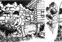 来自橡树的墨水（化学实验）-幼师课件网