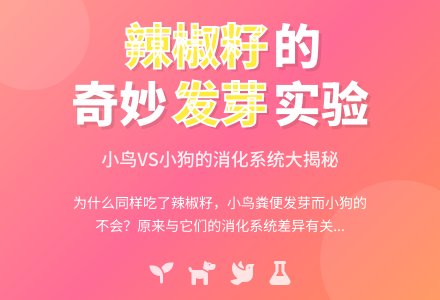 吃下肚的种子可以发芽吗？(自然)-幼师课件网