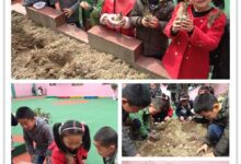 我为春天添点绿-幼师课件网