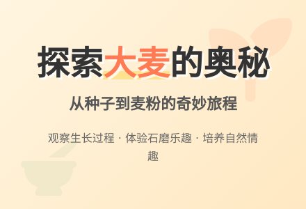 幼儿园中班科学教案：大麦历险记-幼师课件网