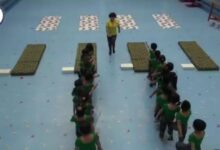 获奖公开课视频 | 大班健康领域体育活动《勇夺小红旗》-幼师课件网