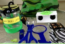 【装备篇】男孩最爱的探索装备、出街look、玩具装备-幼师课件网