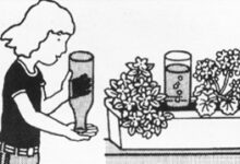 自动人工灌溉(自然)-幼师课件网
