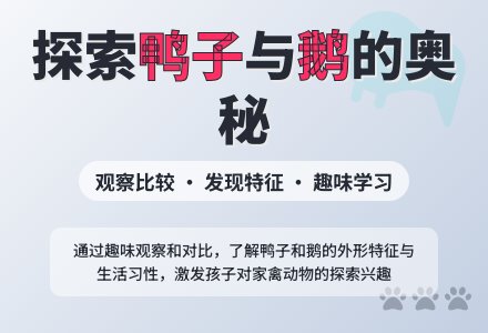 幼儿园中班科学教案：鸭子和鹅-幼师课件网