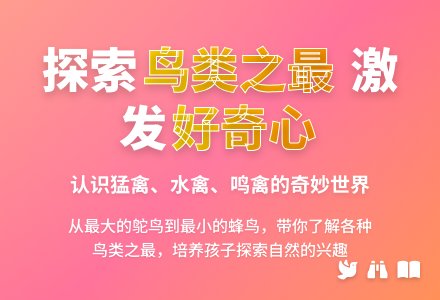 幼儿园中班科学教案：鸟类之最-幼师课件网