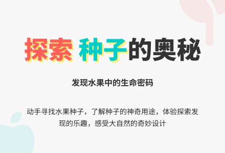 幼儿园中班科学活动：《种子藏在哪里?》-幼师课件网