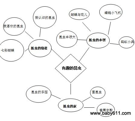 幼儿园大班主题活动《有趣的昆虫》-幼师课件网第1张图片