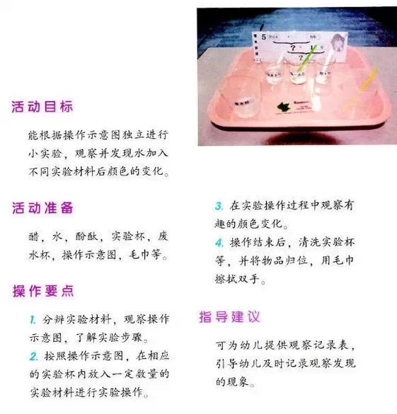 幼儿园区角操作——科学区（3）-幼师课件网第4张图片