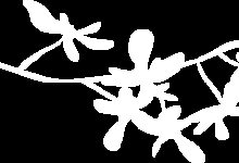 中秋节主题活动 | 关于中秋的传说你知道么-幼师课件网