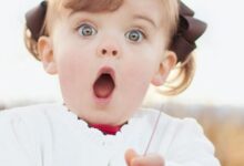 幼儿行为知多少~案例篇（三）-幼师课件网