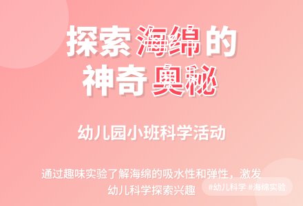 幼儿园小班科学活动――有趣的海绵-幼师课件网
